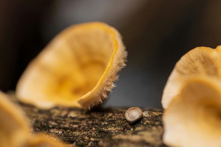 cross variable correlation inspection log